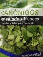 Canónigos