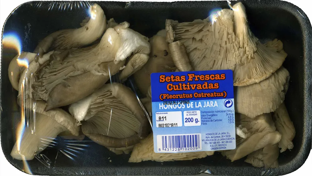 Setas Frescas Cultivadas (Pleorotus Ostreatus)