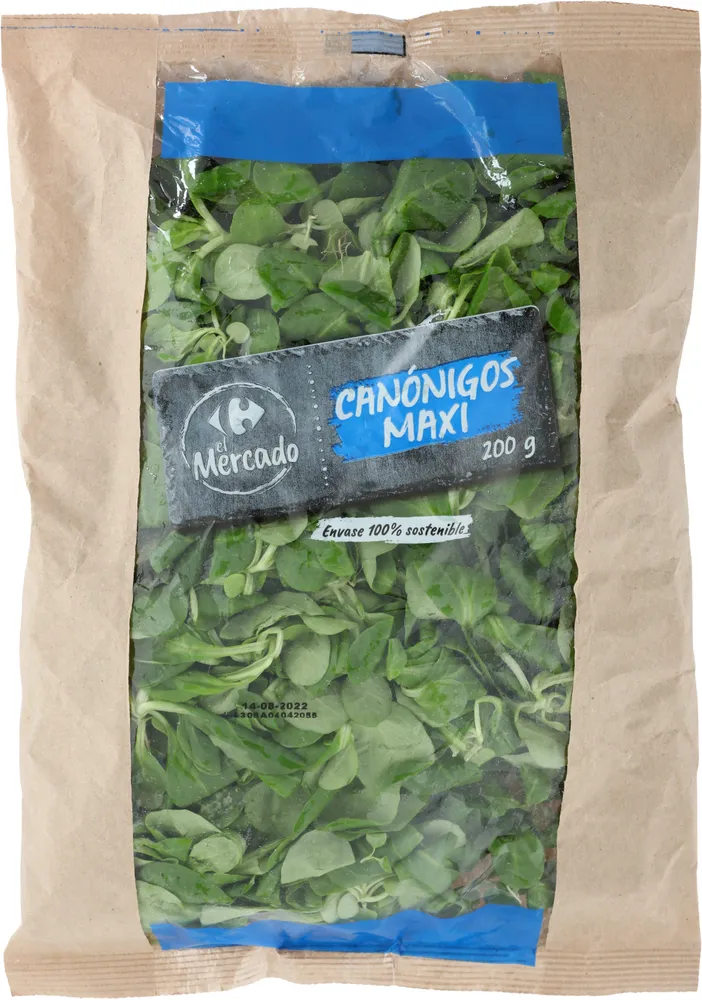 Canónigo maxi