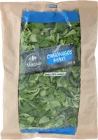 Canónigo maxi