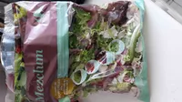 Ensalada Mezclum