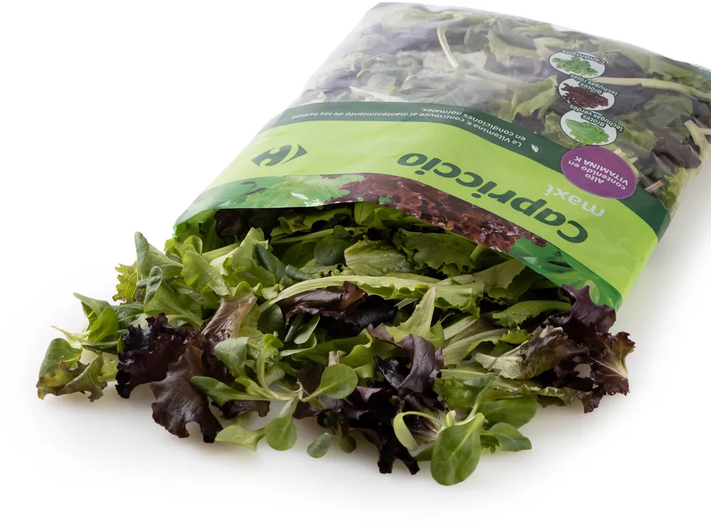 Ensalada capriccio