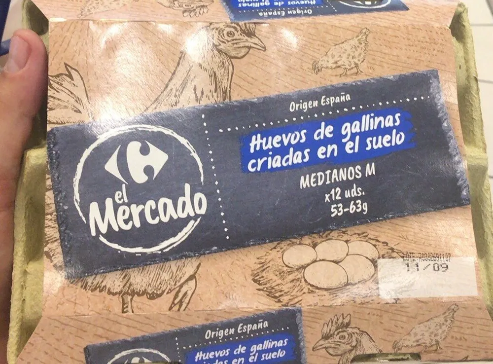 Huevos de gallinas criadaa en el suelo