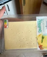 Queso havarti