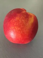 Nectarine Jaune