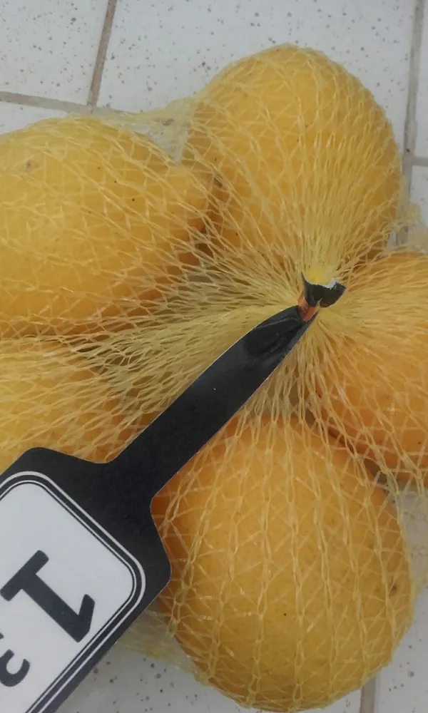 citrons