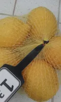 citrons