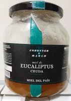 Miel de eucaliptus cruda