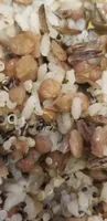 Lentilles et riz parfumé a l'huile d'olive et au basilic