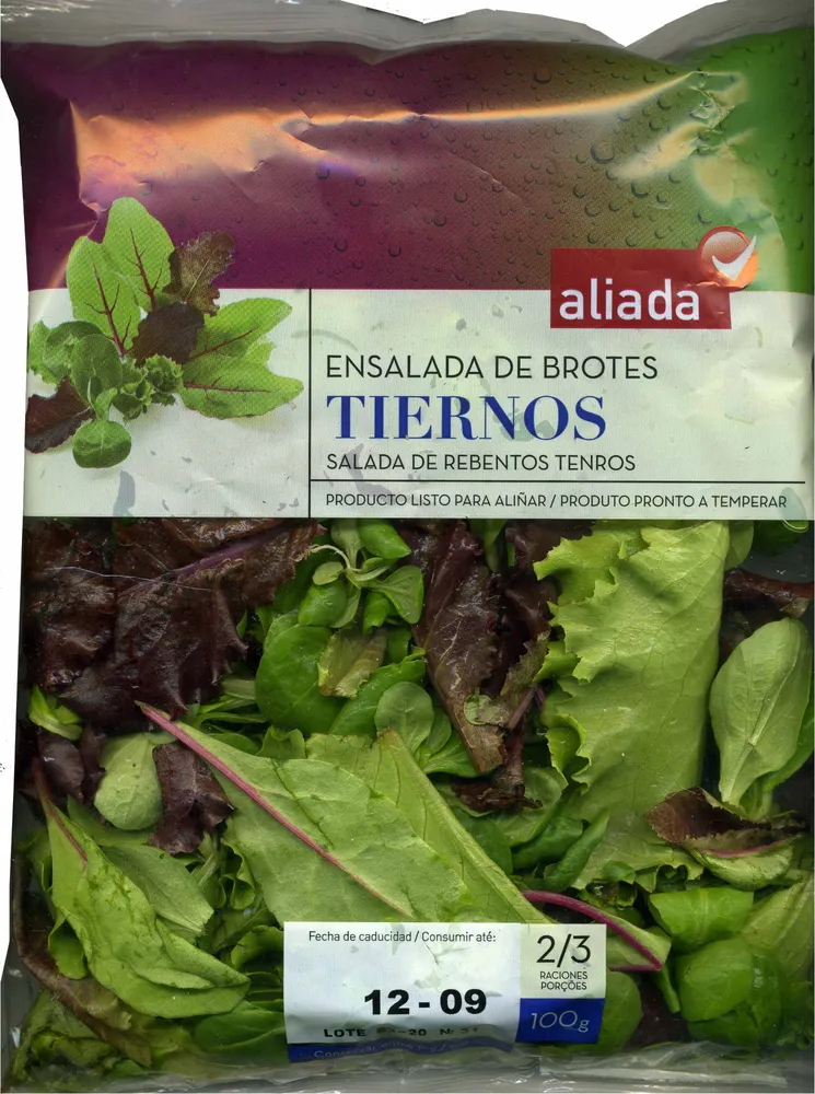 Ensalada de brotes tiernos