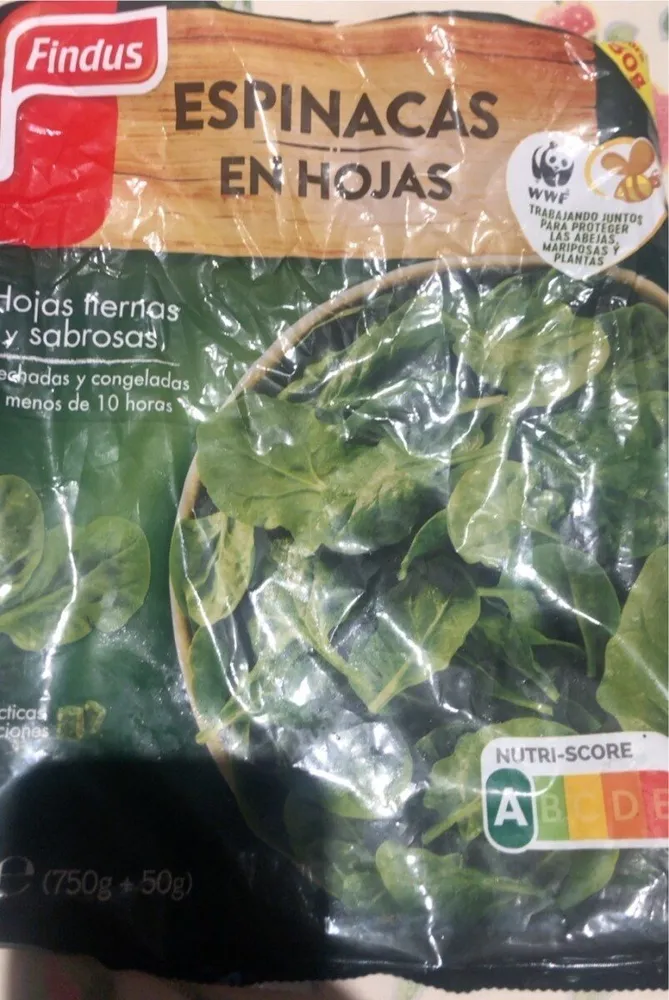 Espinacas hojas