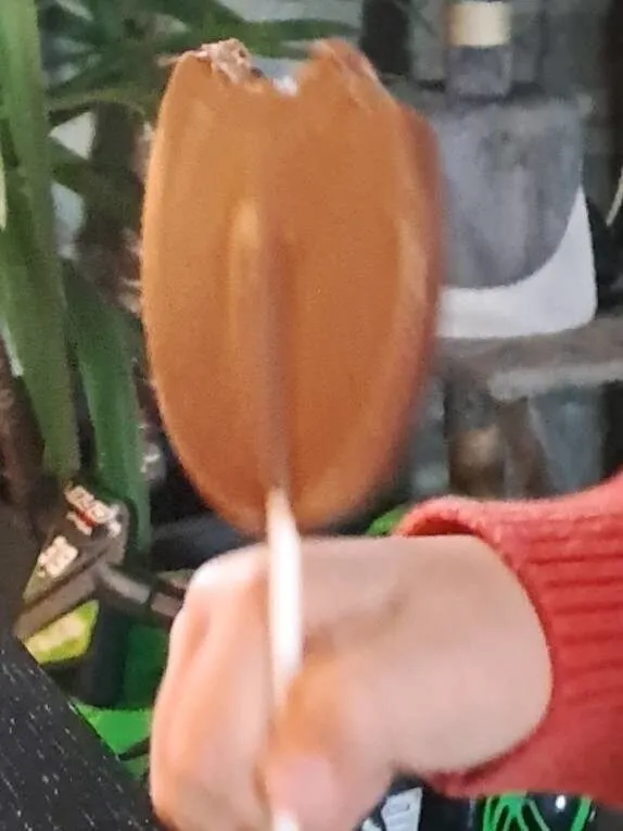 Sucette en chocolat