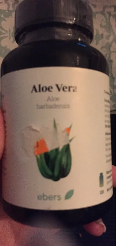 Aloe vera