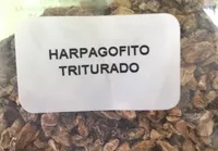 Harpagofito