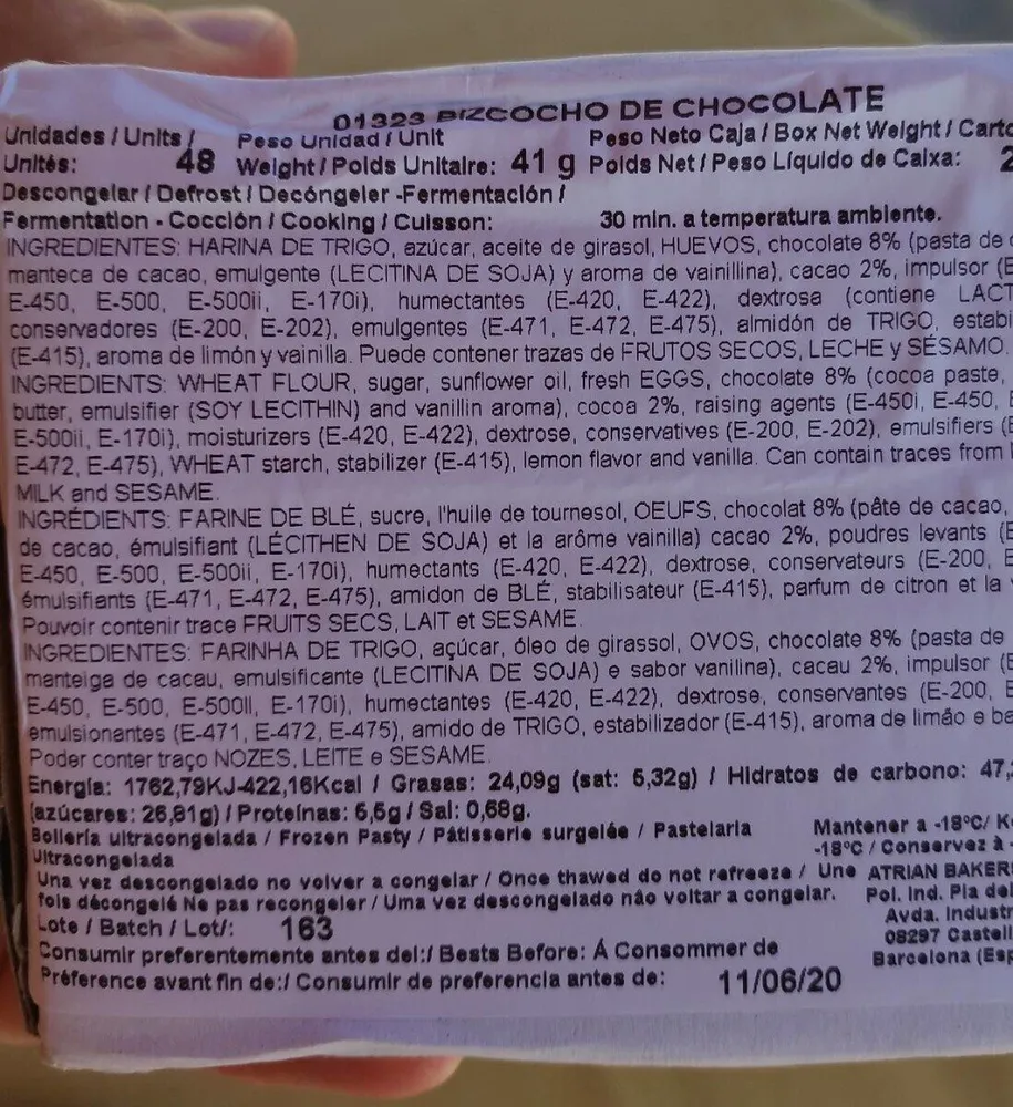 01323 BIZCOCHO DE CHOCOLATE