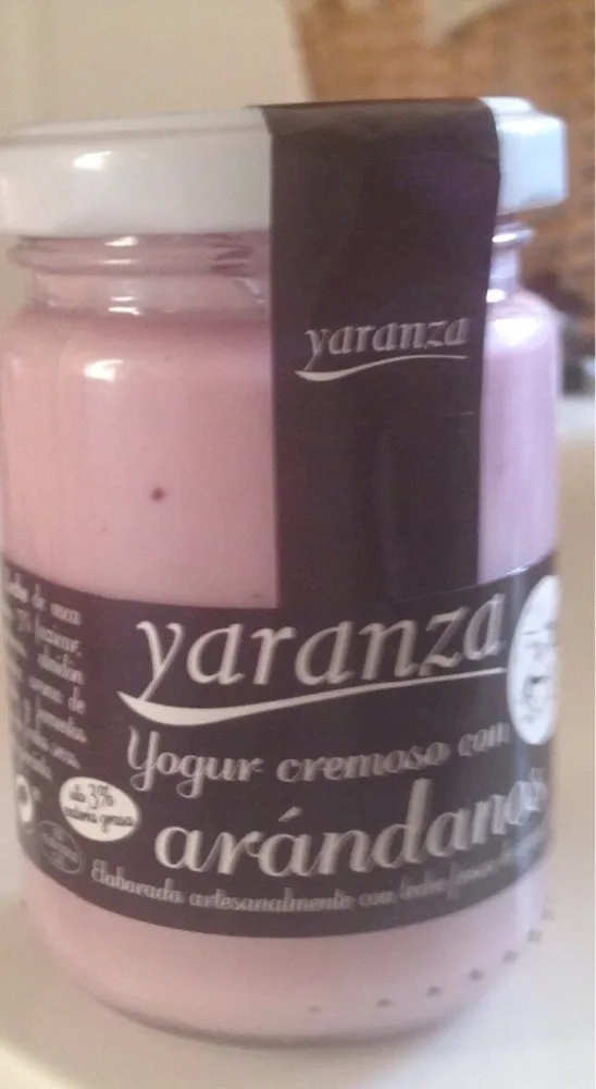 Yogur cremoso con arándanos