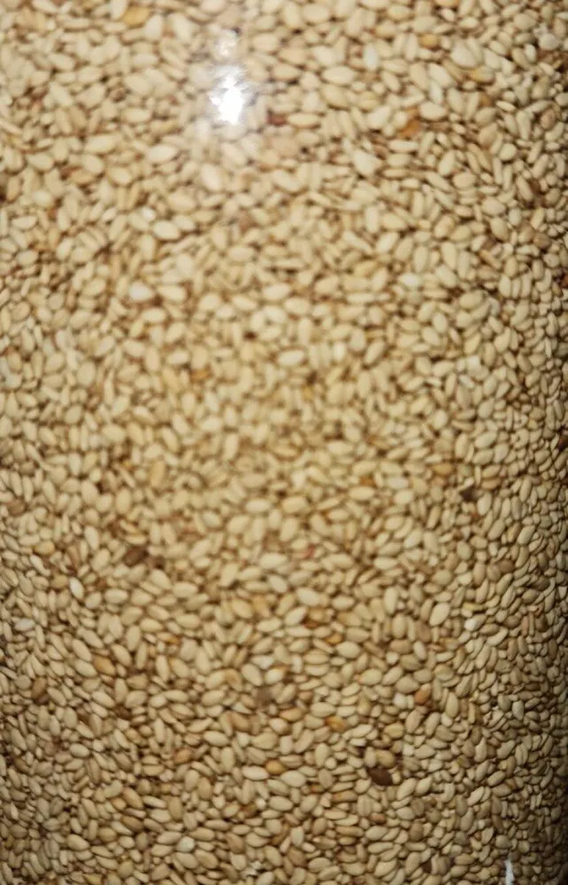Sésamo extra tostado