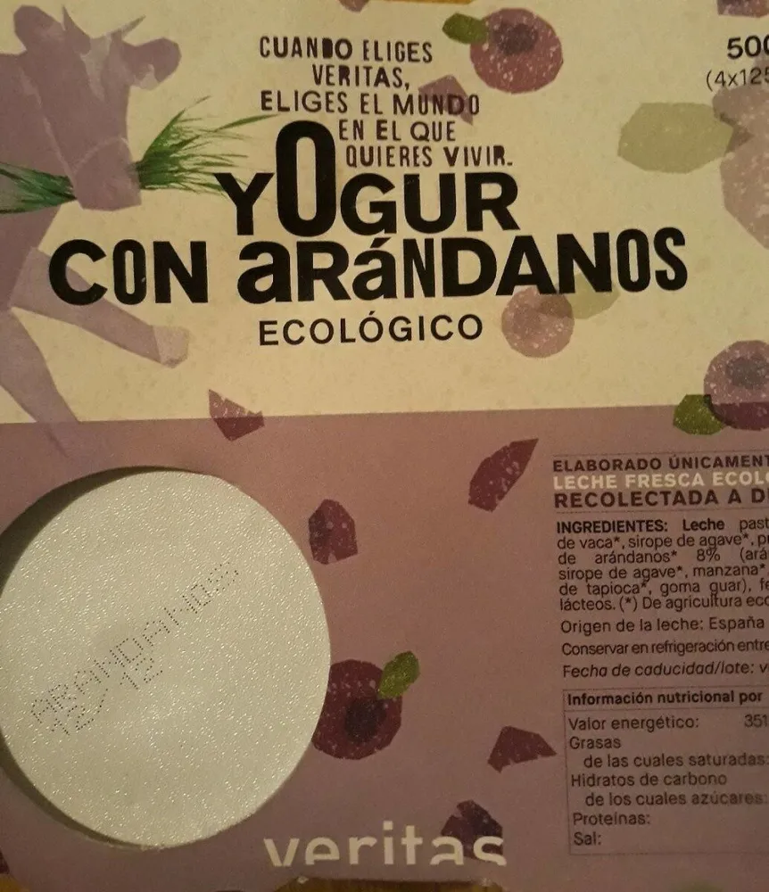 Yogur con arándanos ecológico