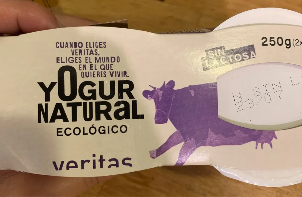 Yogur natural ecologico