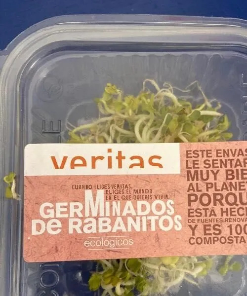 Germinados de rabanitos