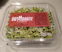 Germinados de puerros