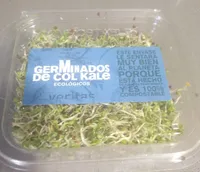 Germinados de col kale