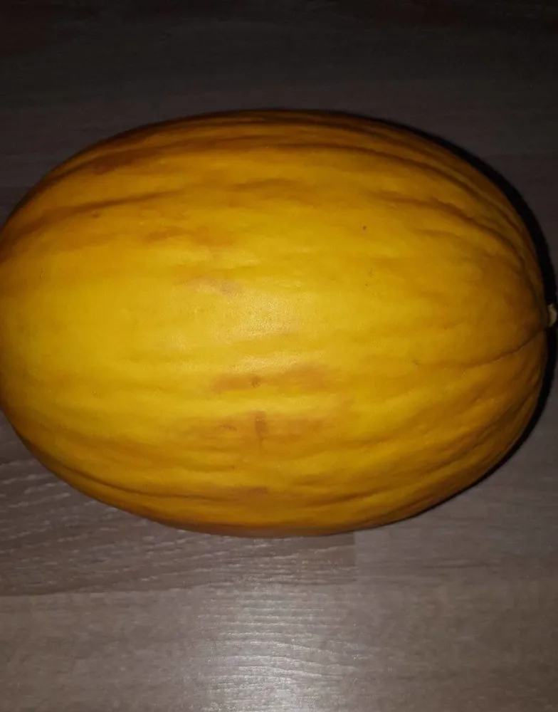 Melon jaune