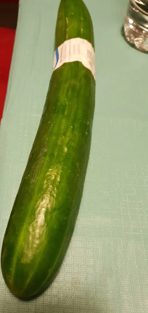 Concombre bio pièce