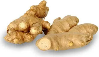 GINGEMBRE : Biologique Gingembre