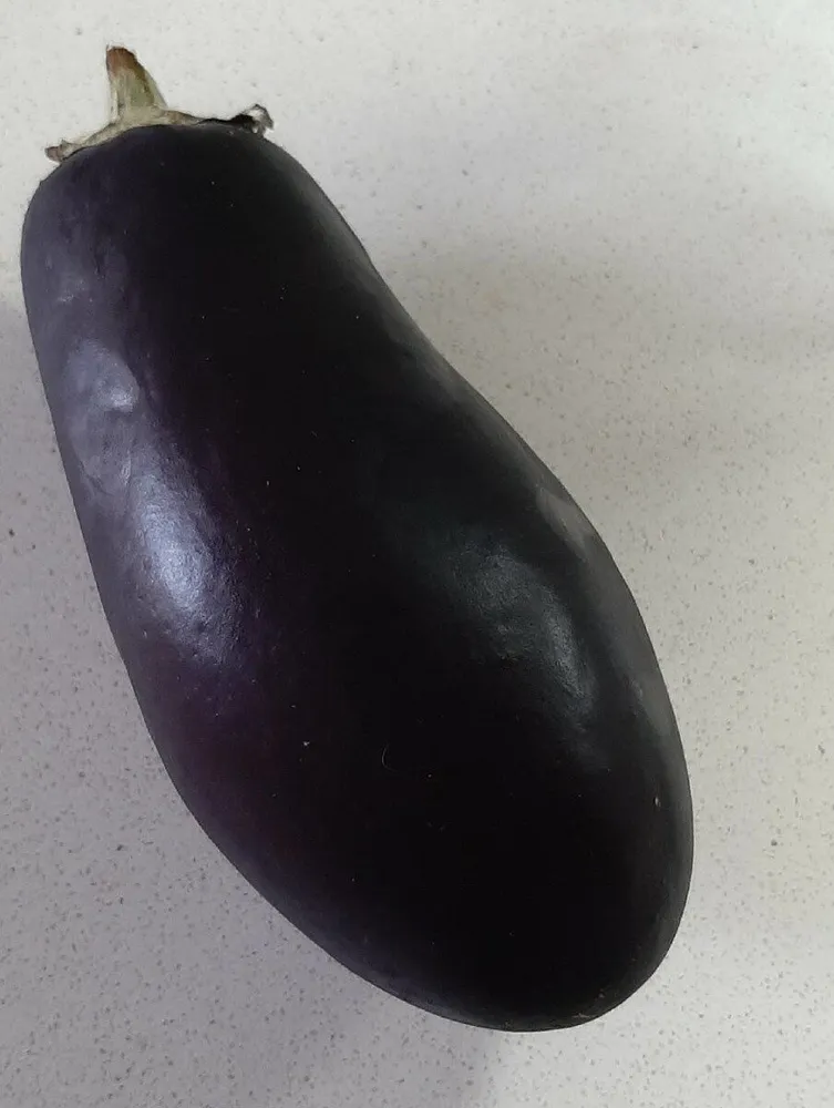 Berenjena