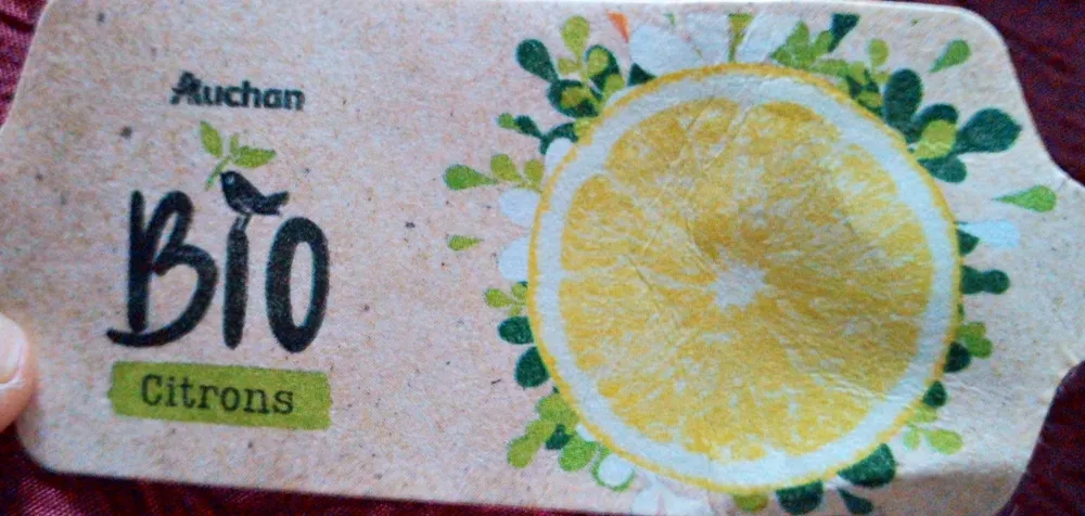 Citron bio 4 fruits