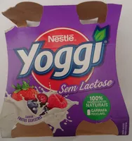 Sem Lactose Sabor Frutos Silvestres