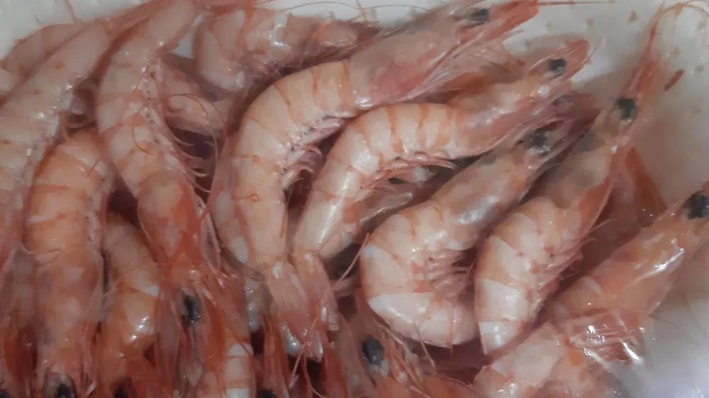 Gamba cocida