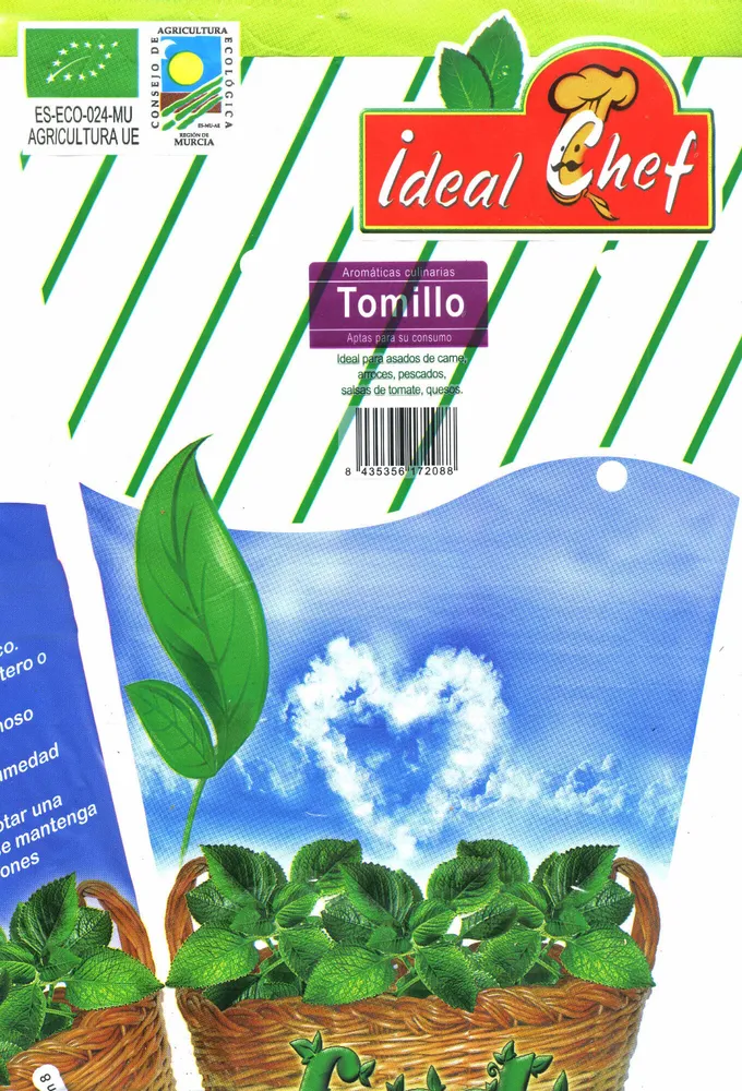 Maceta de tomillo