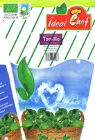 Maceta de tomillo