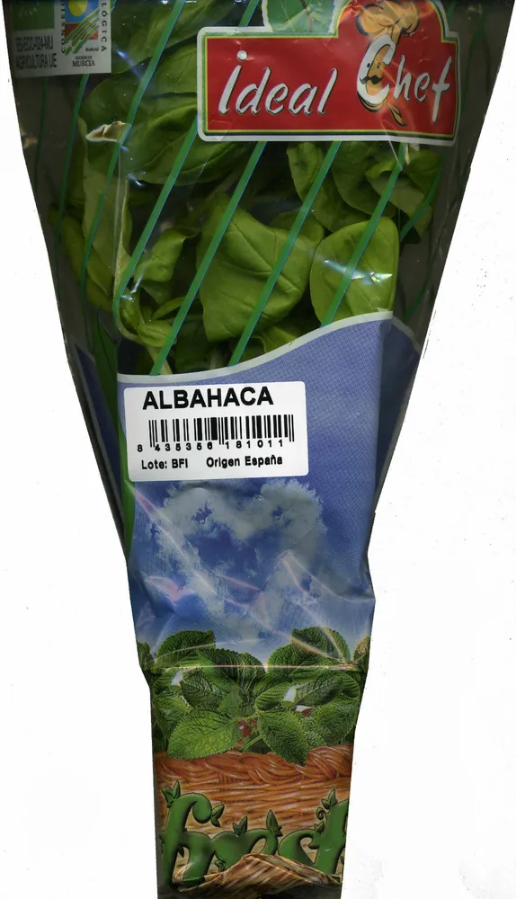 Maceta de albahaca