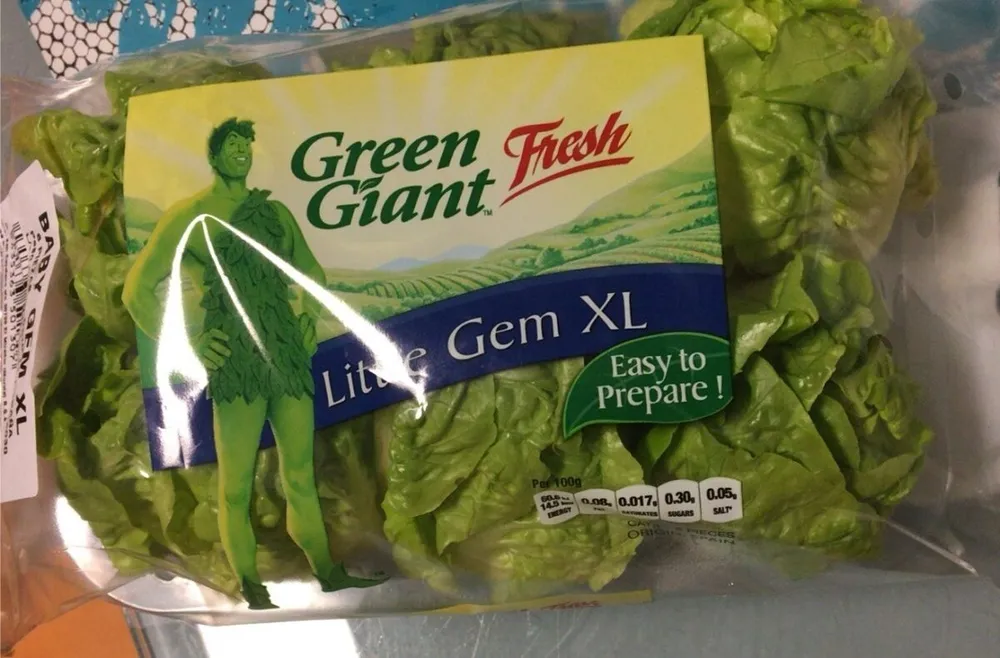 Lechuga