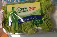 Lechuga