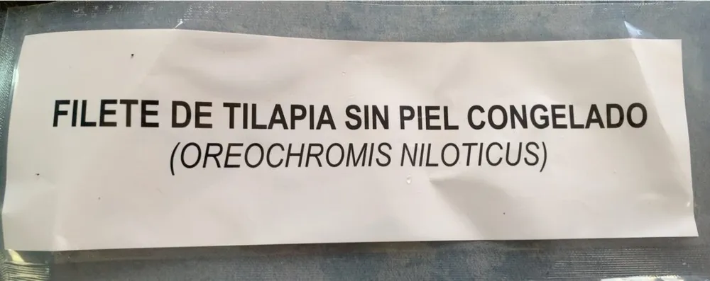 Tilapia
