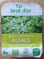 Brotes germinados de alfalfa