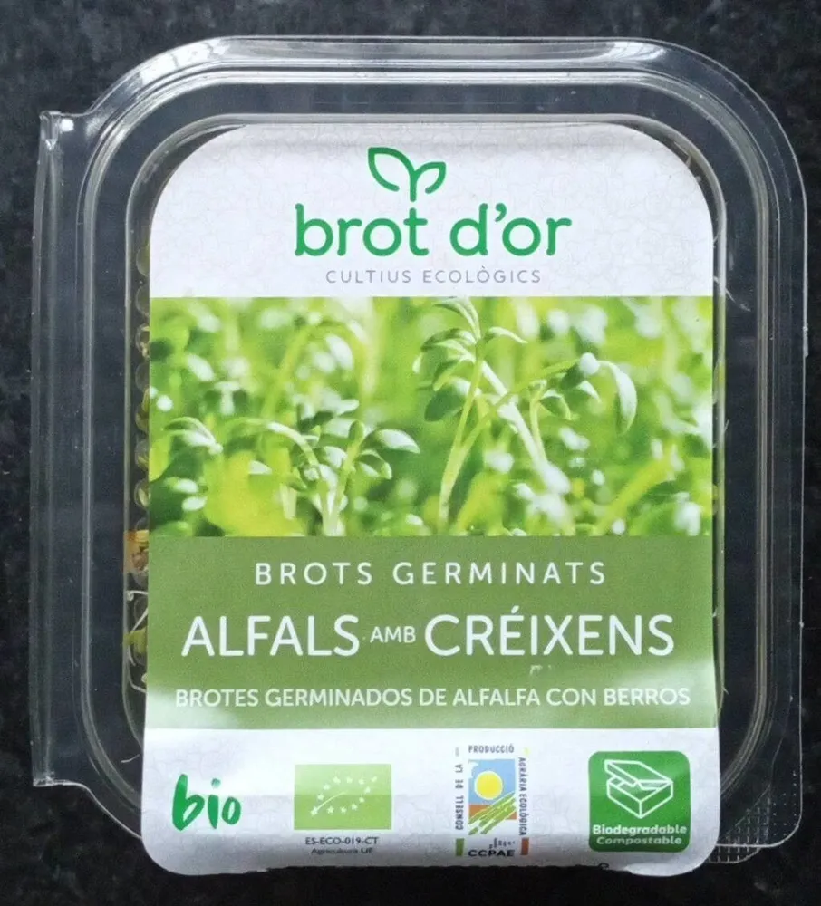 Brotes germinados de alfalfa con berros