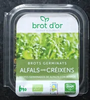 Brotes germinados de alfalfa con berros