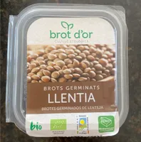 Brotes germinados de lenteja