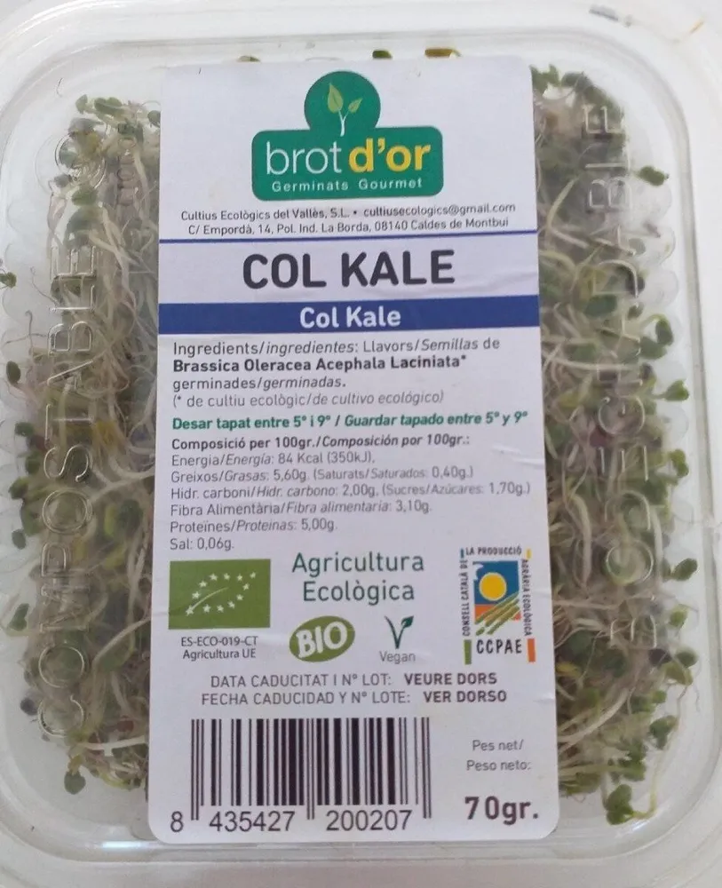 Germinados de col kale