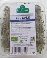Germinados de col kale