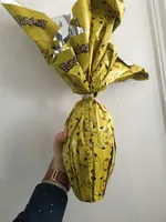 Oeuf Pokemon