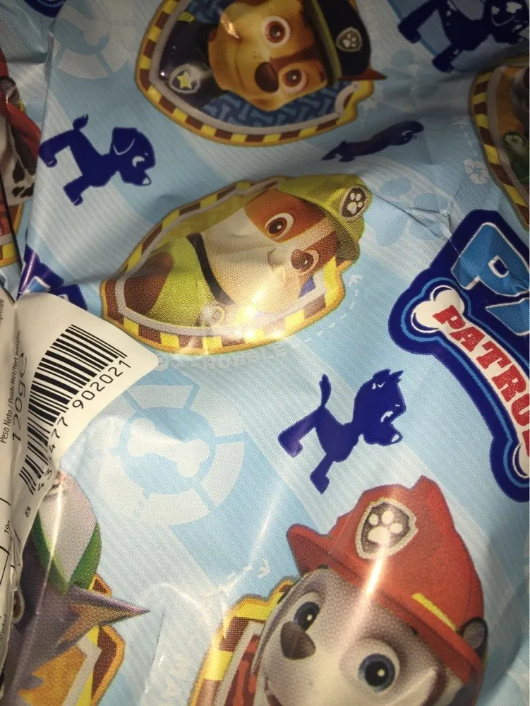 Paw patrol boy