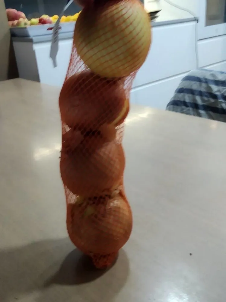 Cebolla