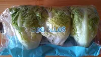 cogollos