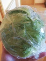 Lechuga